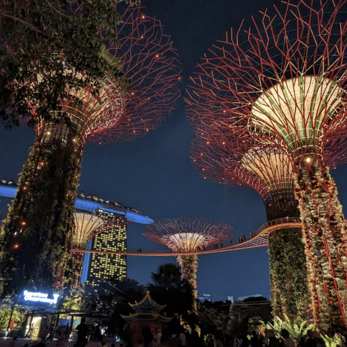 Australia Road Trip & South East Asia